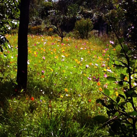 © 2013 Samuel Michael Bell, all rights reserved