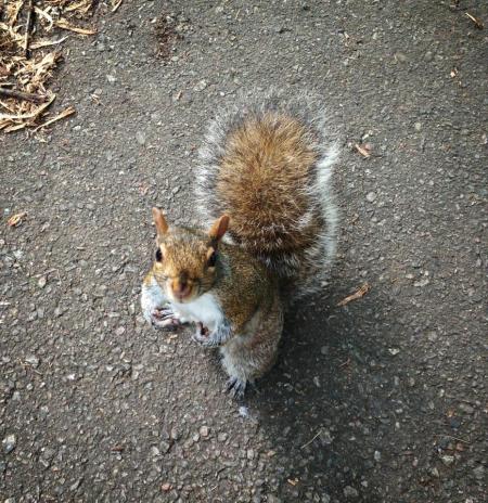 © 2013 Kris Albert Lee