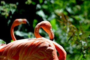 © 2013 Michel Denis Pouradier, all rights reserved