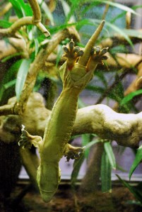 © 2013 Michel Denis Pouradier, all rights reserved