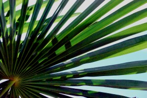 © 2013 Michel Denis Pouradier, all rights reserved