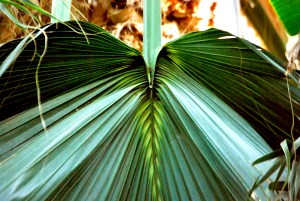 © 2013 Michel Denis Pouradier, all rights reserved