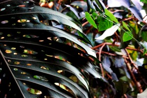 © 2013 Michel Denis Pouradier, all rights reserved