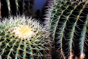 © 2013 Michel Denis Pouradier, all rights reserved