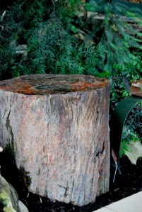 © 2013 Michel Denis Pouradier, all rights reserved