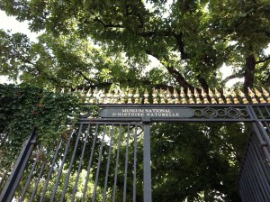 © 2013 Samuel Michael Bell, all rights reserved