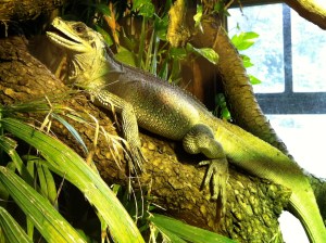 © 2013 Samuel Michael Bell, all rights reserved