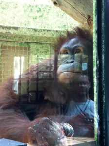 © 2013 Samuel Michael Bell, all rights reserved