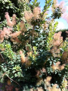 © 2013 Samuel Michael Bell, all rights reserved