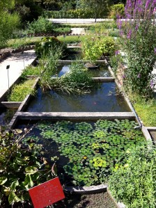 © 2013 Samuel Michael Bell, all rights reserved