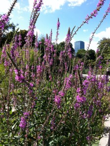 © 2013 Samuel Michael Bell, all rights reserved