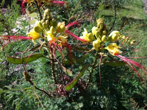 © 2013 Samuel Michael Bell, all rights reserved