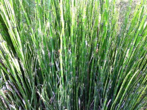 © 2013 Samuel Michael Bell, all rights reserved