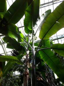 © 2013 Samuel Michael Bell, all rights reserved