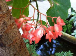 © 2013 Samuel Michael Bell, all rights reserved