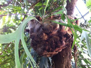 © 2013 Samuel Michael Bell, all rights reserved