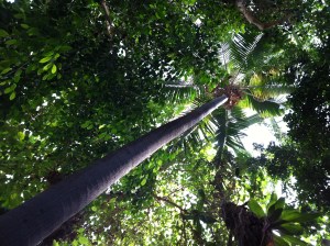 © 2013 Samuel Michael Bell, all rights reserved