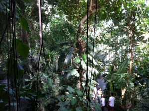 © 2013 Samuel Michael Bell, all rights reserved