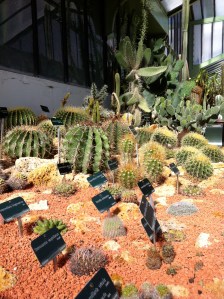 © 2013 Samuel Michael Bell, all rights reserved