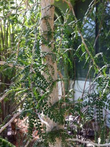 © 2013 Samuel Michael Bell, all rights reserved