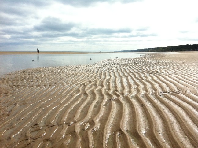 "shimmering in the morning light"