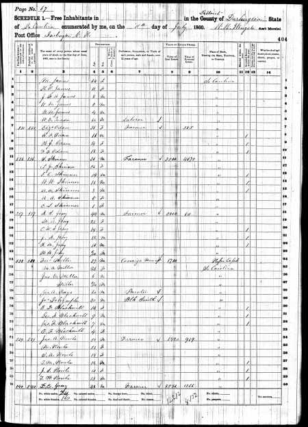 1860 Census Report: Line 12: "P.J. Skinner"